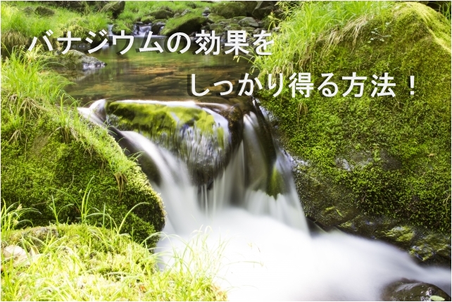 パナジウム水とは?